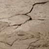 Náhled obrázku Bahenní sopky