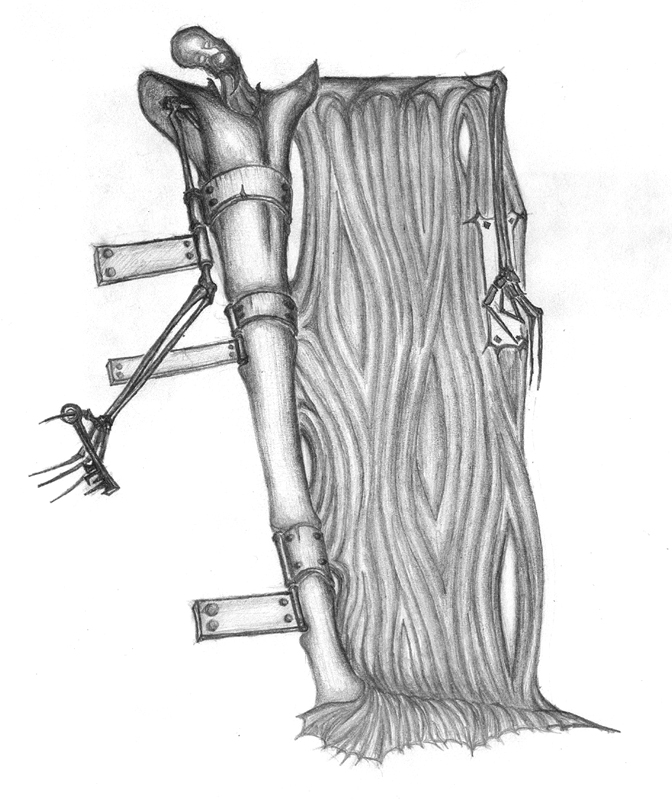 Obrázek Dveřník