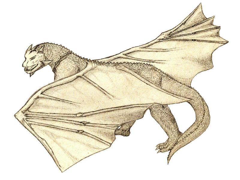 Obrázek Arcano, drak