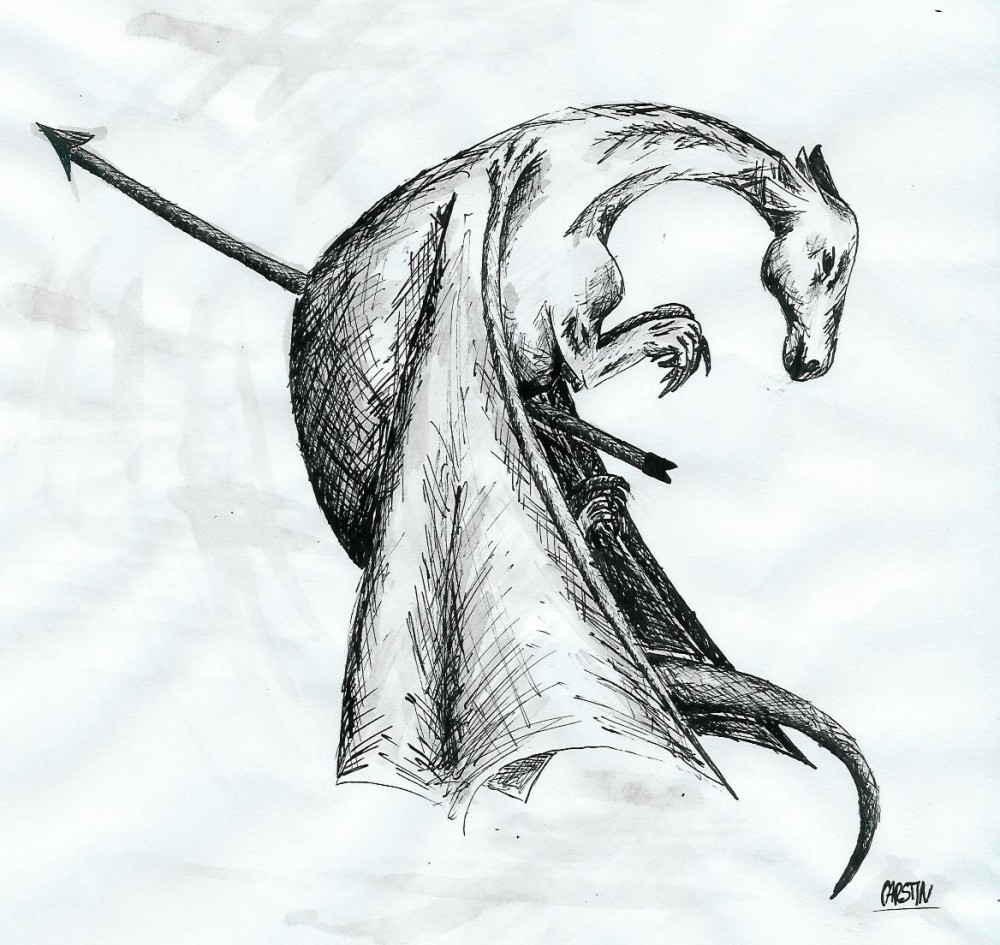 Obrázek Sestřelený drak