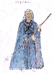 Náhled obrázku Raistlin