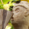 Náhled obrázku Lin