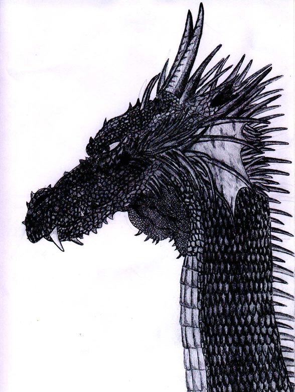 Obrázek Moudrý drak